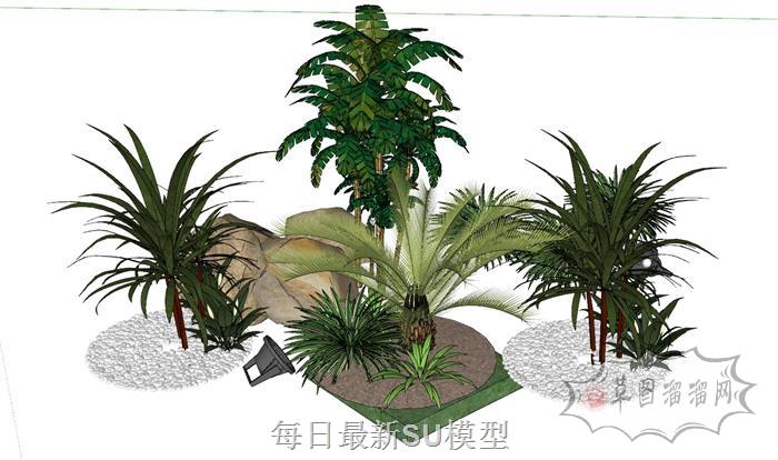 景观植物SU模型