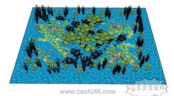 荷花池塘SU模型