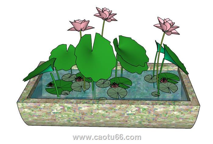 景观荷花池SU模型