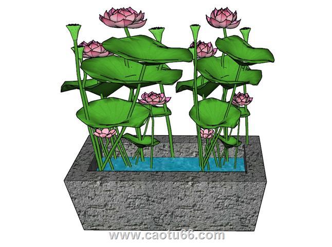 荷花池景观水池SU模型