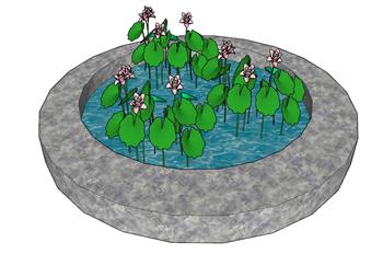 荷花池水池SU模型