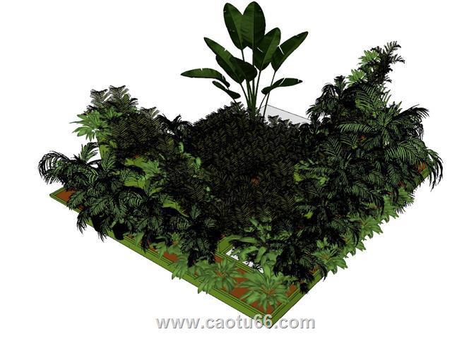 绿植花盆植物SU模型