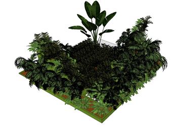 绿植花盆植物SU模型