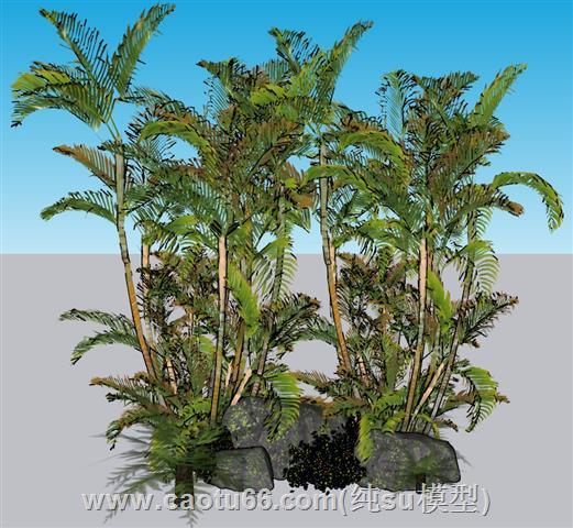 景观植物石头SU模型