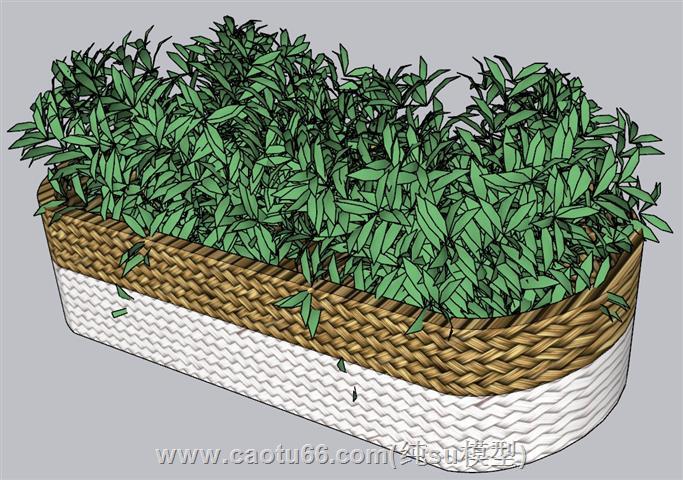 花箱植物SU模型