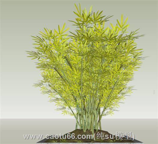 竹林竹子竹堆SU模型