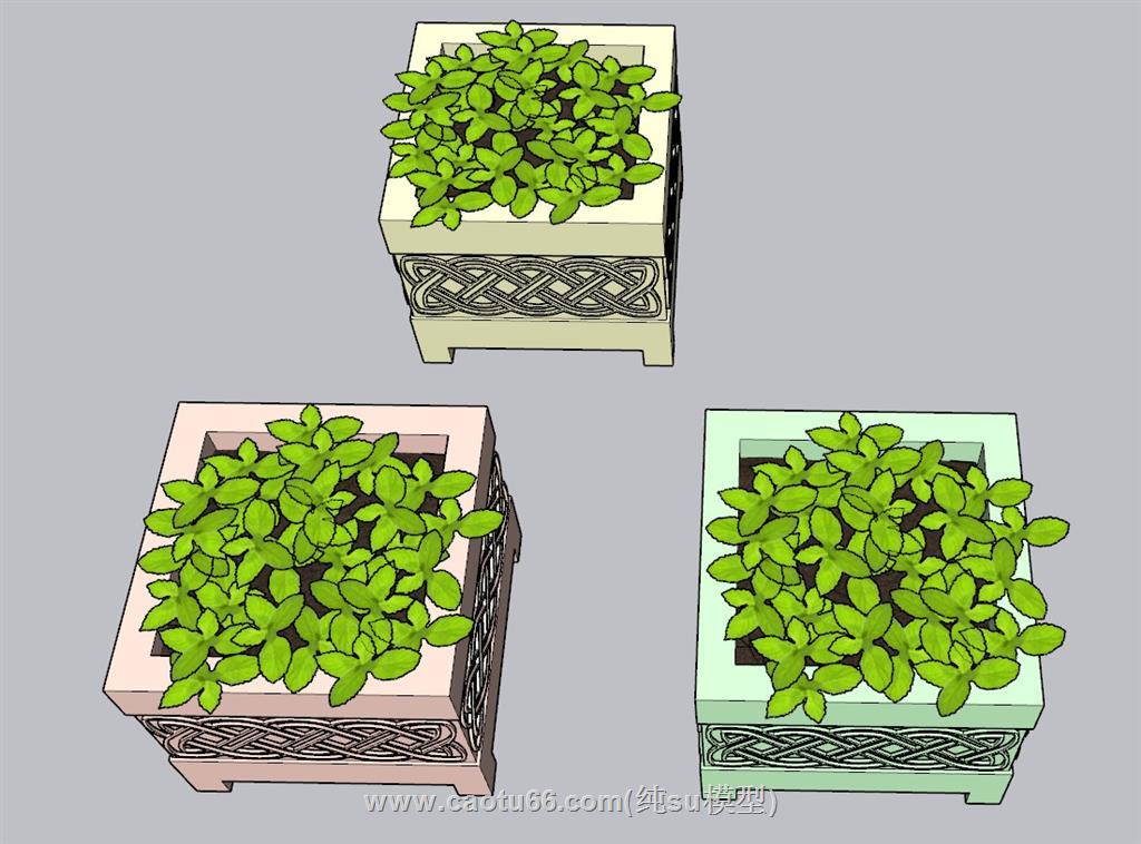 花箱植物SU模型