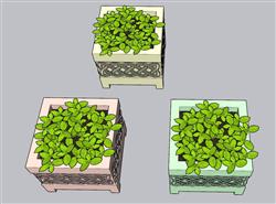 花箱植物SU模型