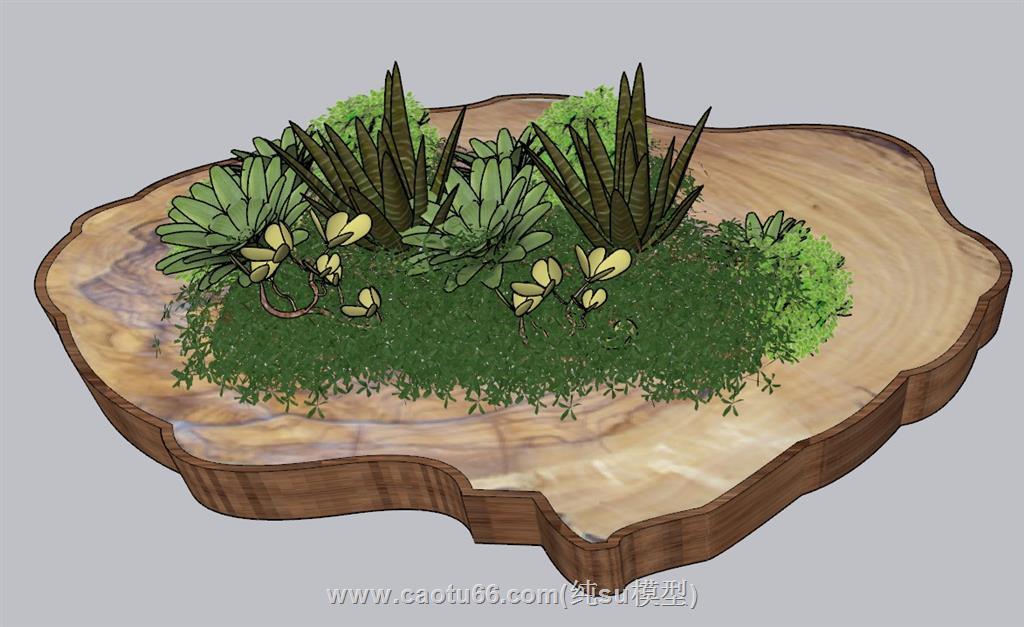庭院景观植物SU模型