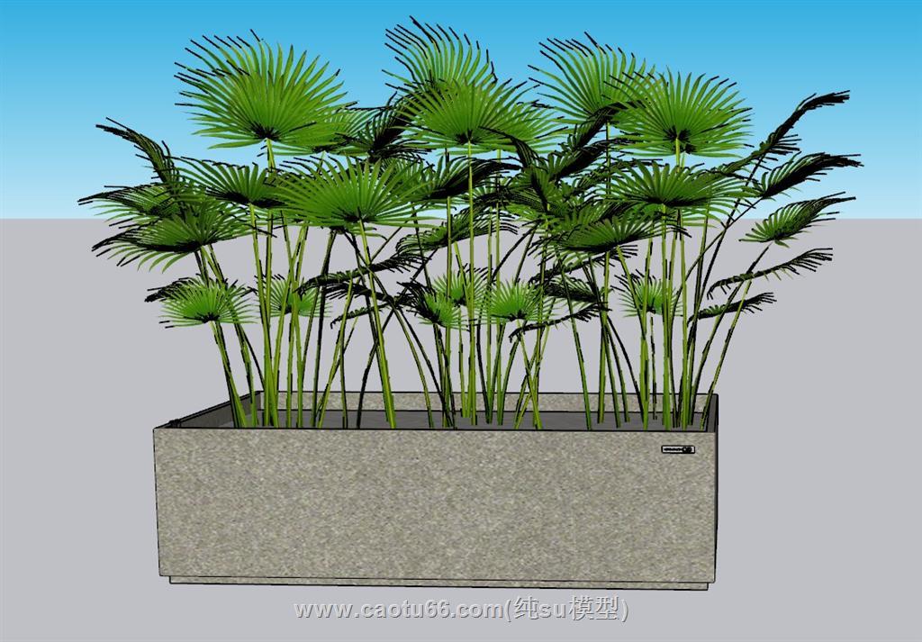 花箱植物景观SU模型