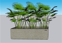 花箱植物景观SU模型 免费sketchup模型下载