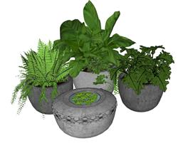 花盆盆景植物SU模型