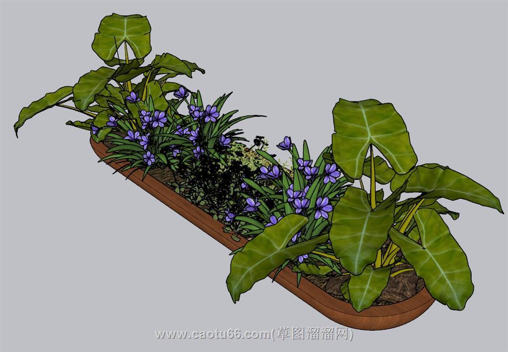 花坛花箱花圃SU模型