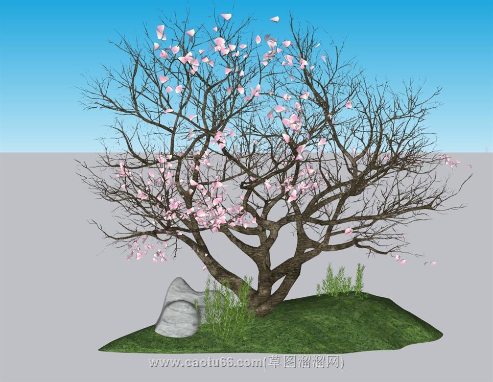 桃花树景观SU模型