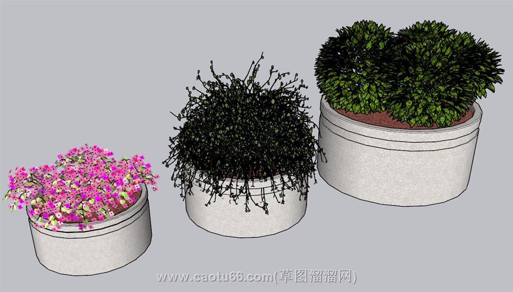 花箱花钵SU模型