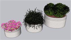 花箱花钵SU模型