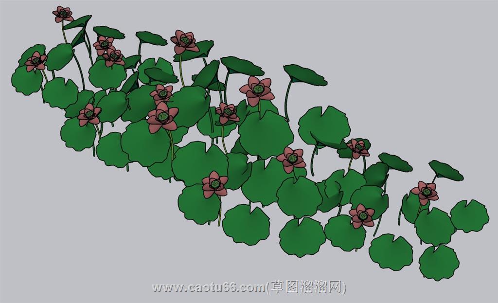 荷花景观SU模型