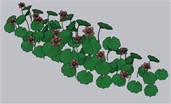 荷花景观SU模型