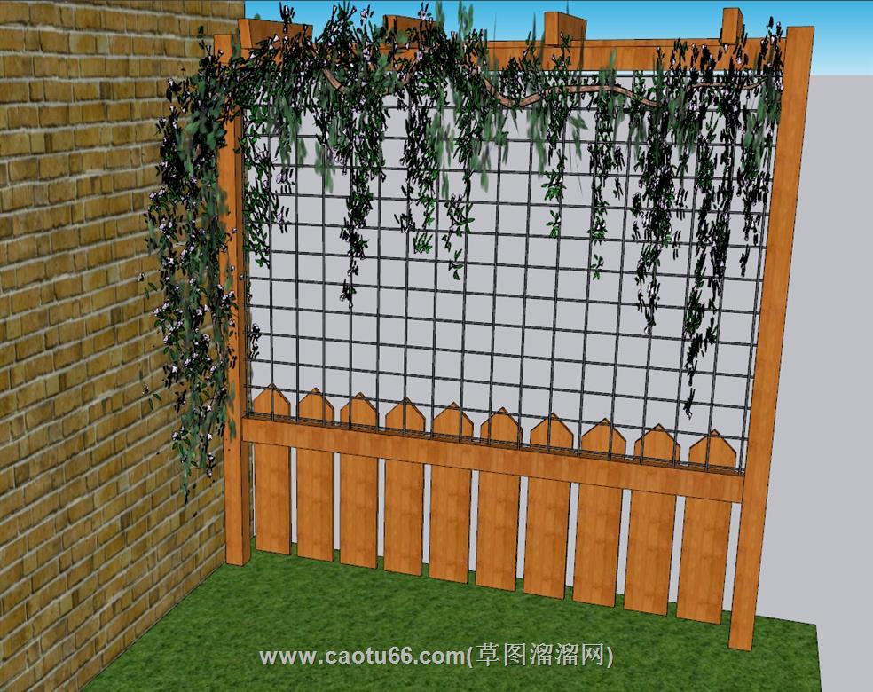 爬藤蔓藤植物SU模型