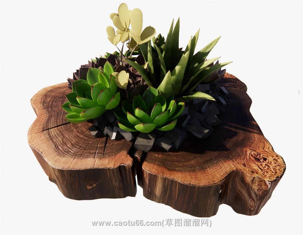 生态多肉植物SU模型