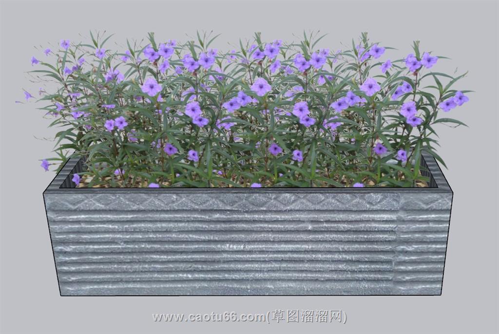 花箱花坛植物SU模型