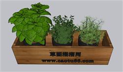 花箱花盆植物SU模型