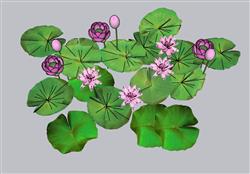 荷花池景观SU模型