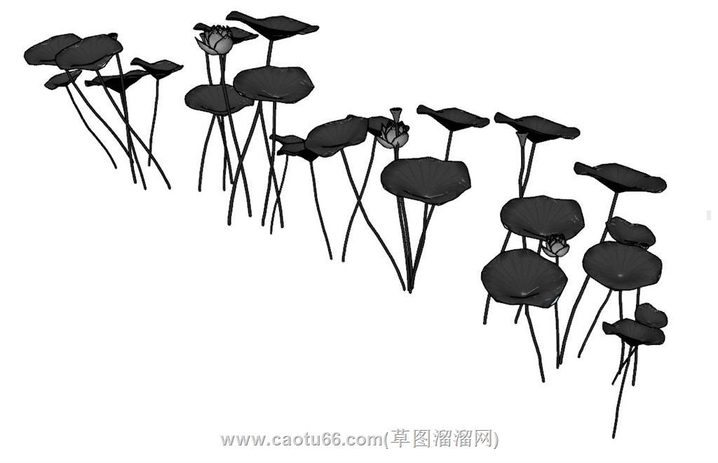 荷花雕塑荷叶SU模型