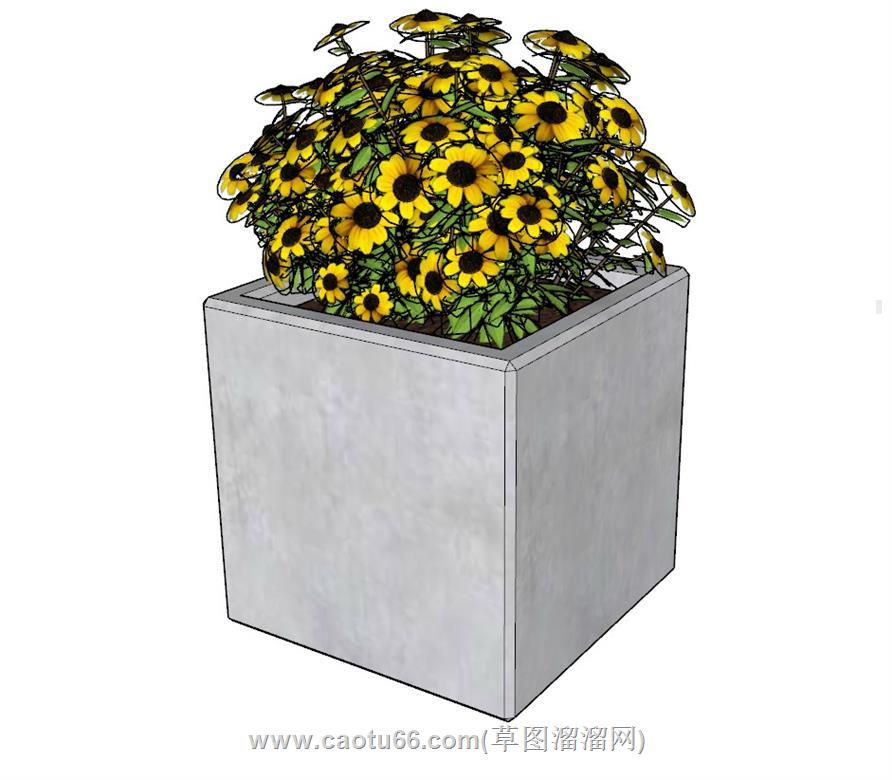 花箱植物SU模型