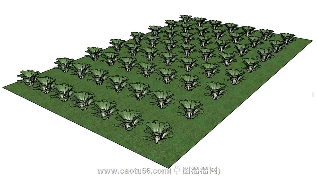 大白菜菜园乡村SU模型