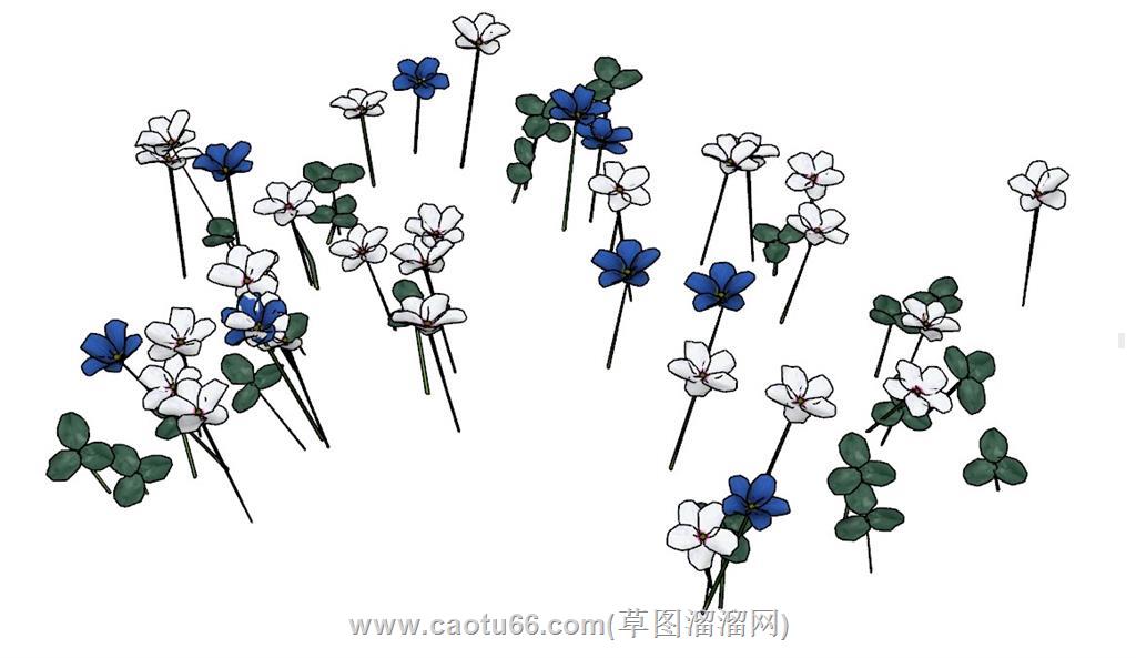 花朵插花SU模型