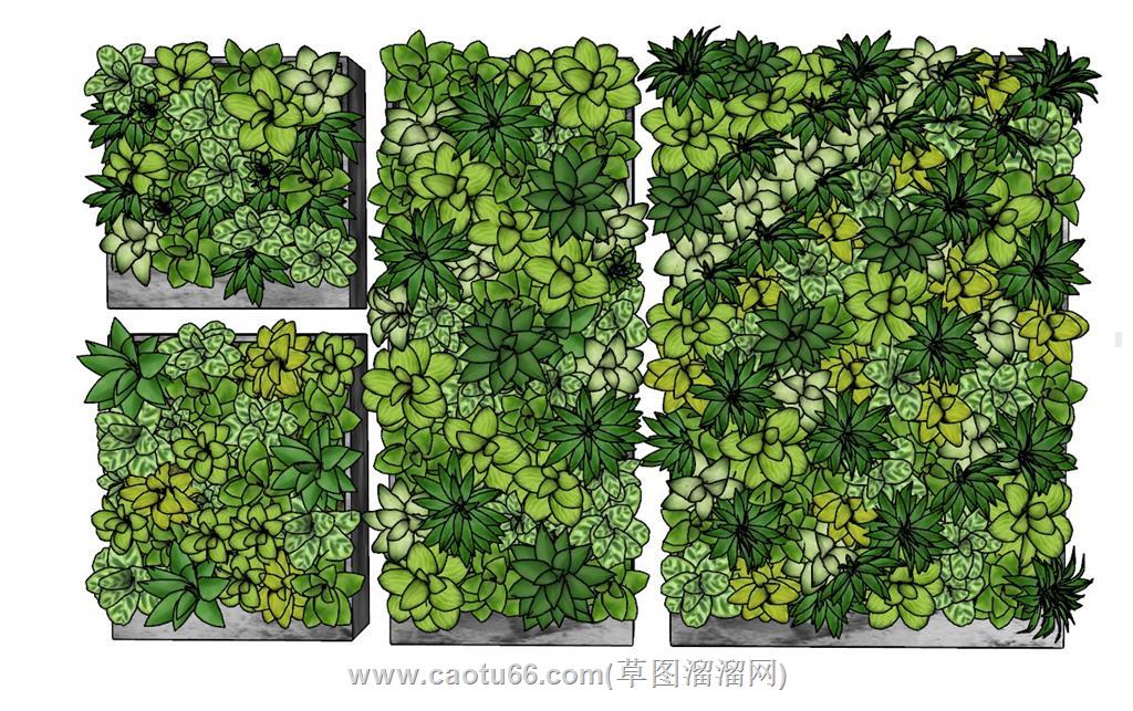 绿植墙饰品SU模型