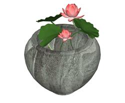 中式荷花水缸SU模型