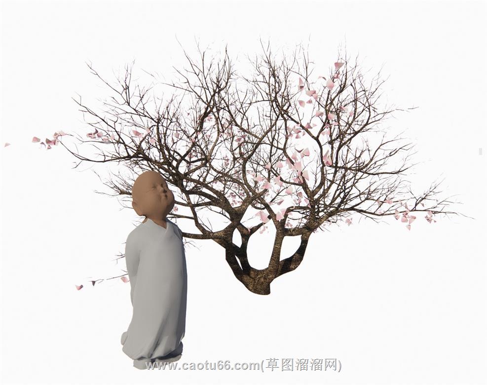 和尚景观树SU模型