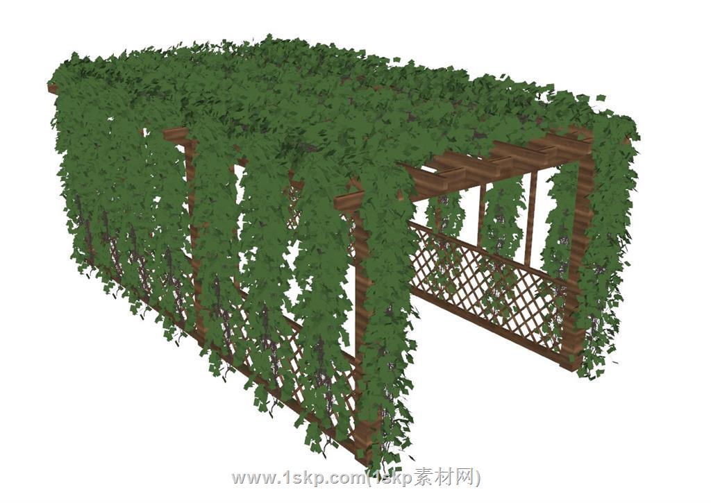 蔓藤爬藤廊架SU模型