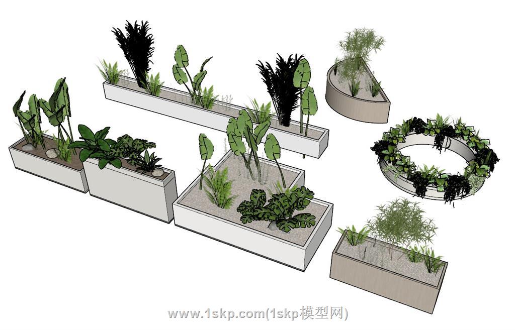 花箱植物SU模型