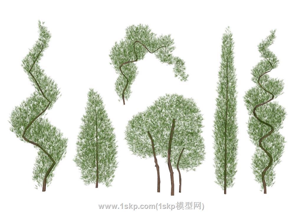 园艺艺术树螺旋树SU模型