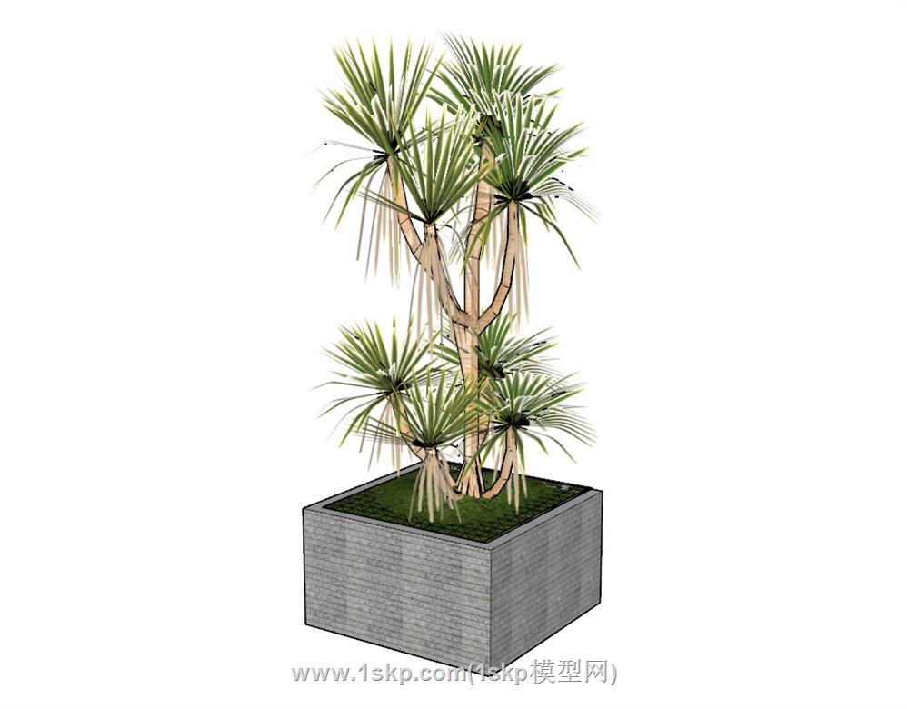 植物花箱SU模型