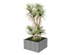 植物花箱SU模型