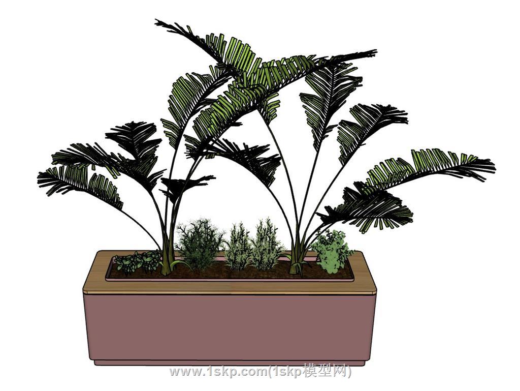 花箱植物SU模型