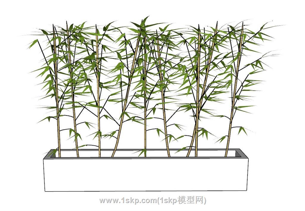 竹子竹叶SU模型