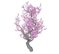 梅花树树SU模型