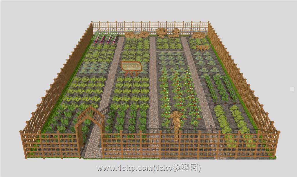 菜园子菜地蔬菜SU模型