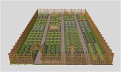 菜园子菜地蔬菜SU模型