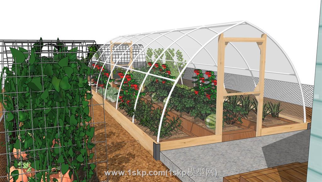 菜园子菜地蔬菜SU模型