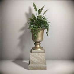 花钵植物SU模型
