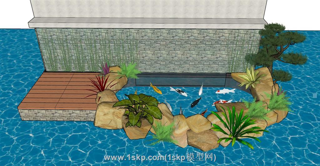 鲤鱼池水池观鱼池