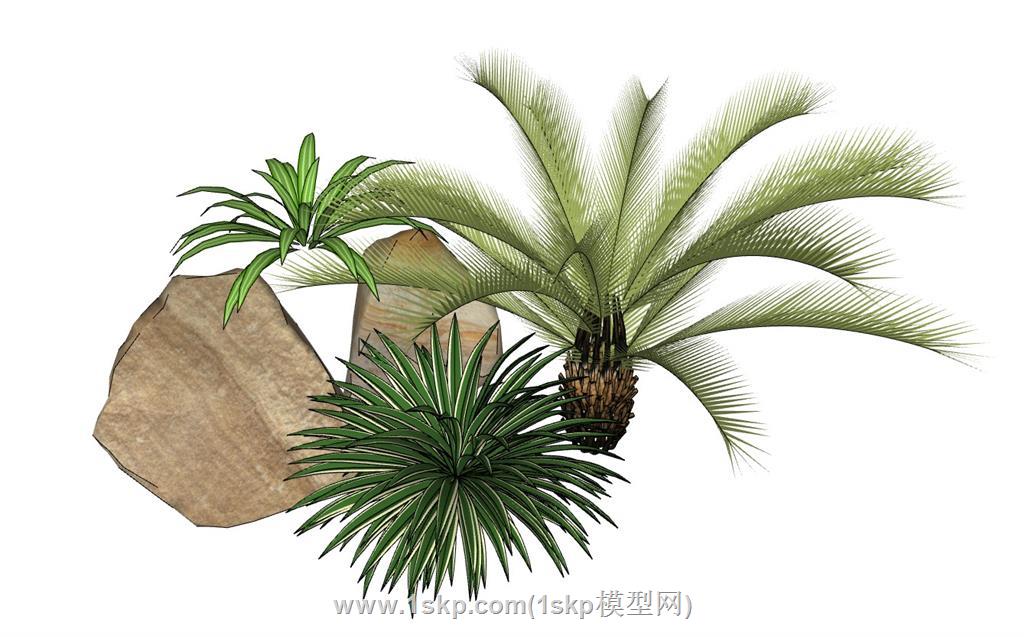植物石头