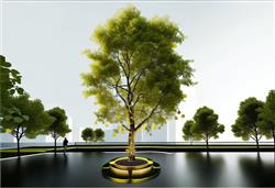抱树灯挂树灯照树灯绕树灯