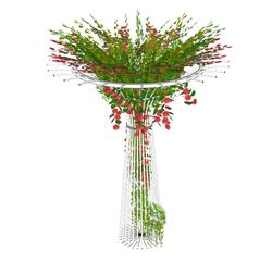 伞状植物架